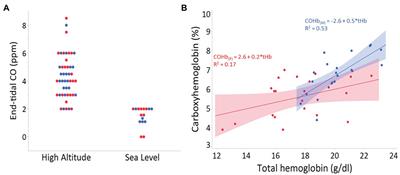 Adaptive Potential of the Heme Oxygenase/Carbon Monoxide Pathway During Hypoxia